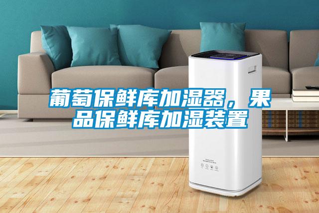 葡萄保鮮庫(kù)加濕器，果品保鮮庫(kù)加濕裝置