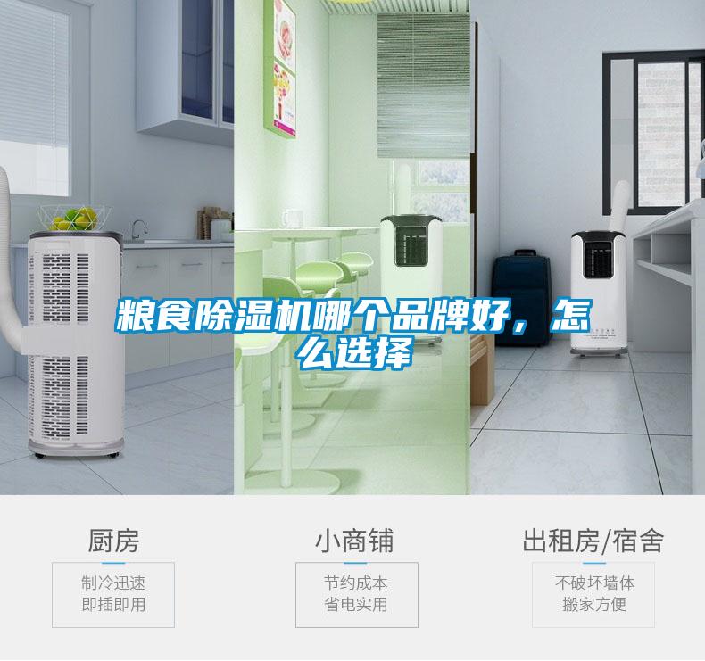 糧食除濕機哪個品牌好，怎么選擇