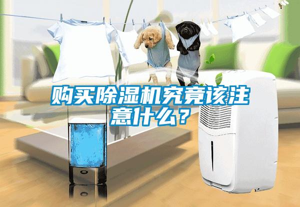 購(gòu)買除濕機(jī)究竟該注意什么？