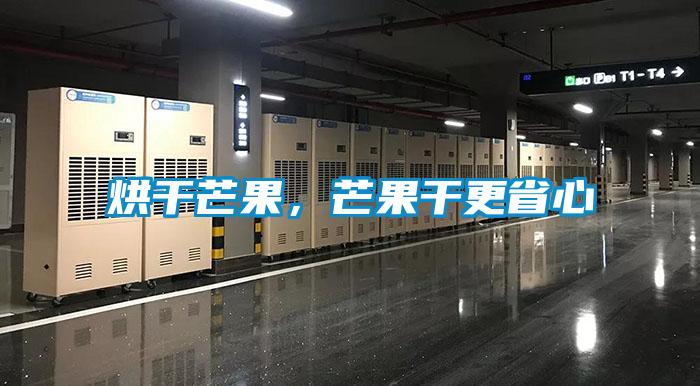 烘干芒果，芒果干更省心