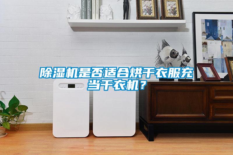 除濕機(jī)是否適合烘干衣服充當(dāng)干衣機(jī)？