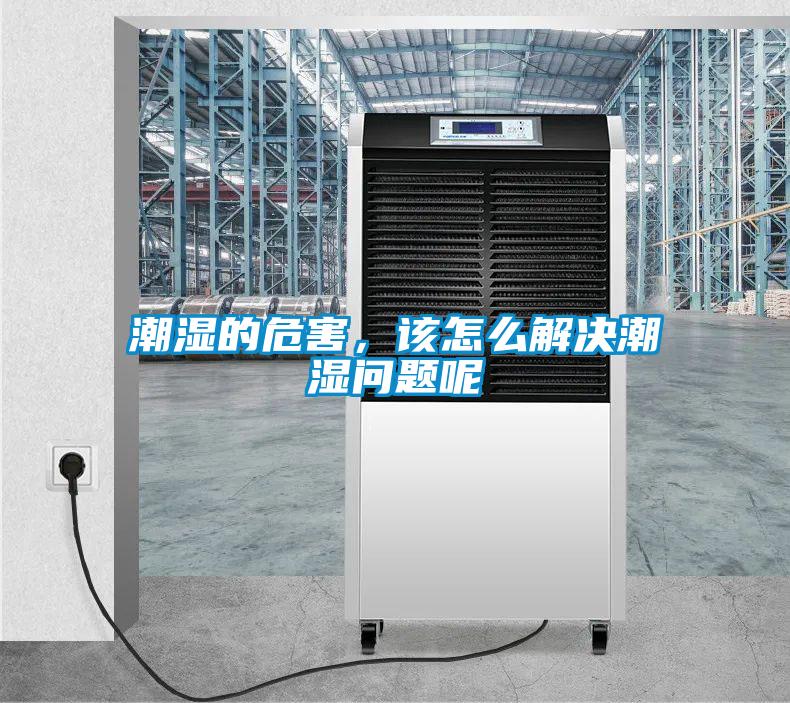 潮濕的危害，該怎么解決潮濕問題呢