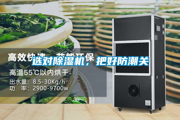 選對除濕機，把好防潮關