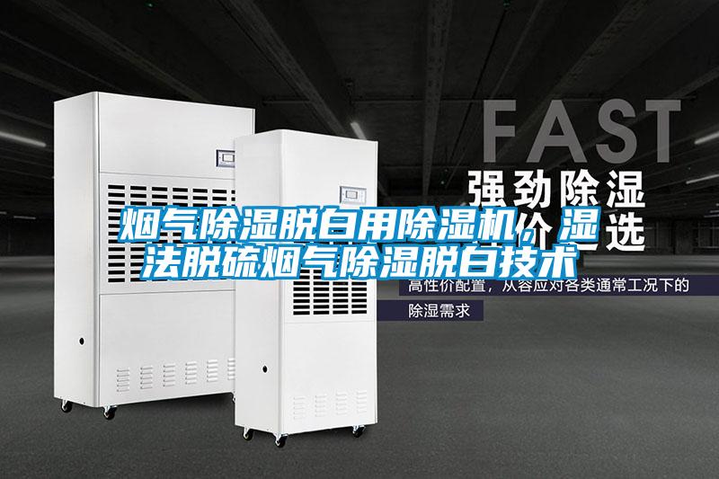 煙氣除濕脫白用除濕機，濕法脫硫煙氣除濕脫白技術