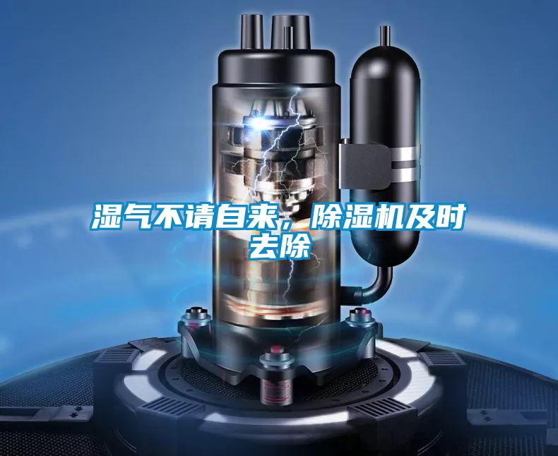 濕氣不請自來，除濕機及時去除