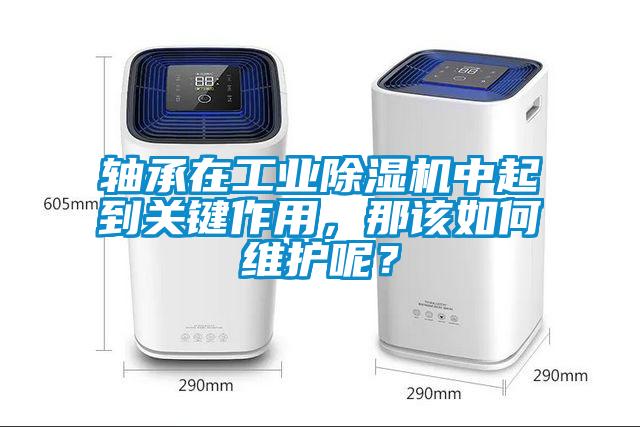 軸承在工業除濕機中起到關鍵作用，那該如何維護呢？
