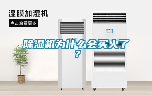 除濕機(jī)為什么會買火了？