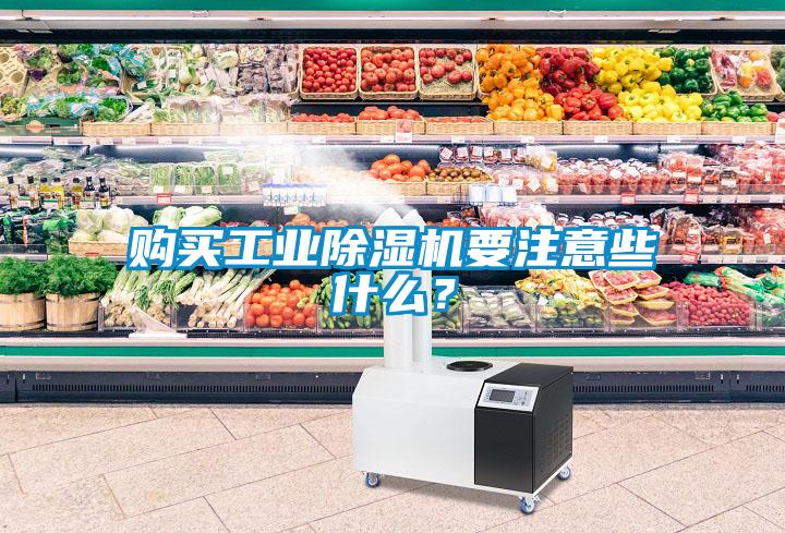 購買工業(yè)除濕機(jī)要注意些什么？