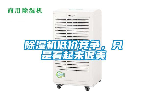 除濕機低價競爭，只是看起來很美