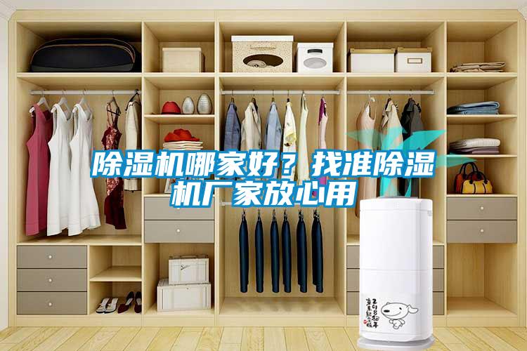 除濕機(jī)哪家好？找準(zhǔn)除濕機(jī)廠家放心用