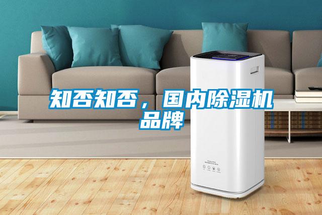 知否知否，國內除濕機品牌