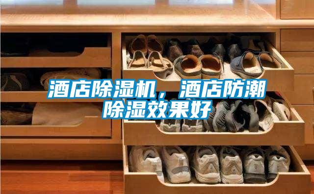 酒店除濕機，酒店防潮除濕效果好