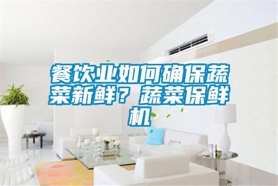 餐飲業(yè)如何確保蔬菜新鮮？蔬菜保鮮機(jī)
