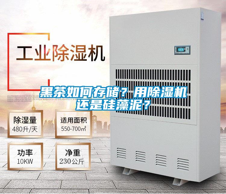 黑茶如何存儲？用除濕機(jī)還是硅藻泥？