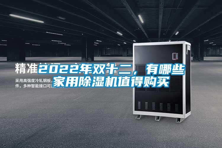 2022年雙十二，有哪些家用除濕機值得購買