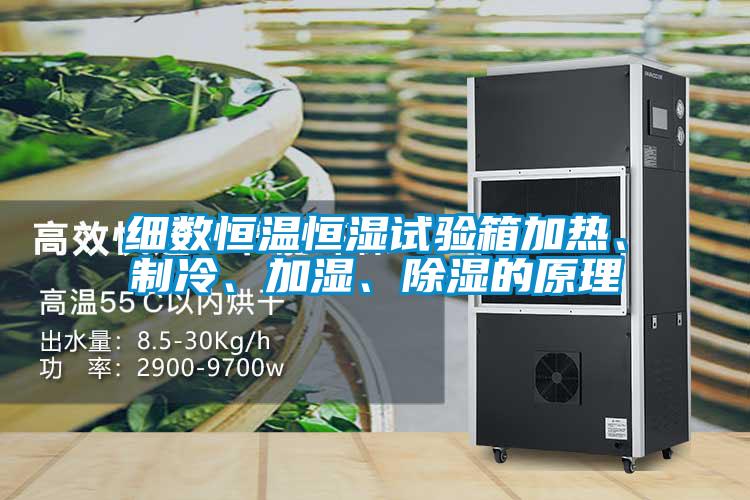細數恒溫恒濕試驗箱加熱、制冷、加濕、除濕的原理