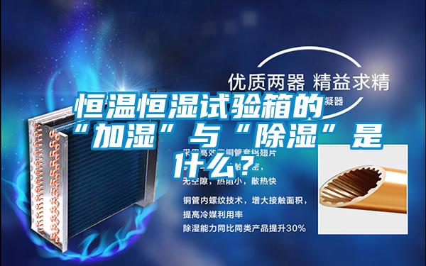 恒溫恒濕試驗箱的“加濕”與“除濕”是什么？