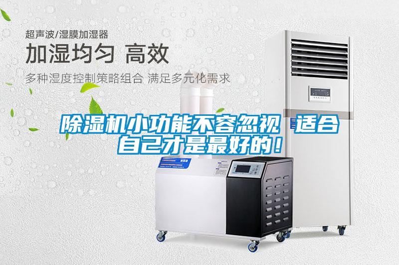 除濕機小功能不容忽視 適合自己才是最好的！