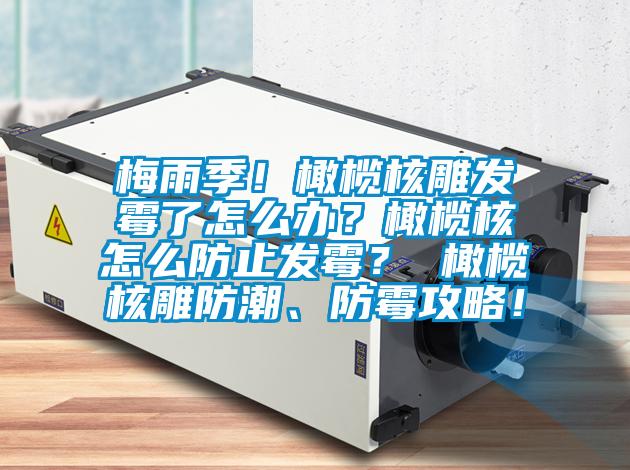 梅雨季！橄欖核雕發霉了怎么辦？橄欖核怎么防止發霉？ 橄欖核雕防潮、防霉攻略！