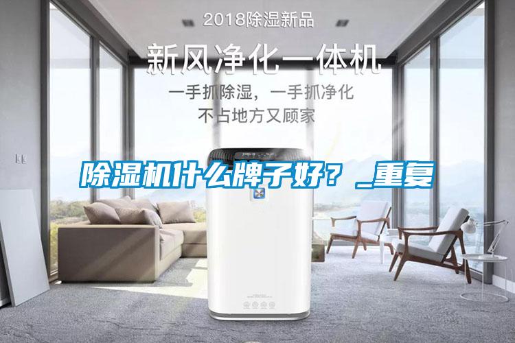 除濕機(jī)什么牌子好？_重復(fù)