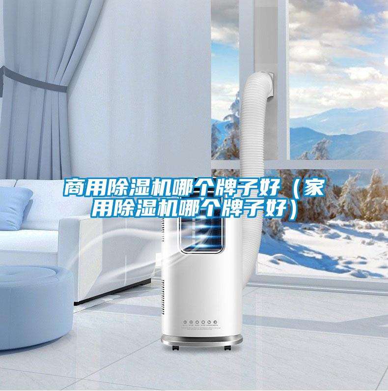 商用除濕機(jī)哪個牌子好（家用除濕機(jī)哪個牌子好）