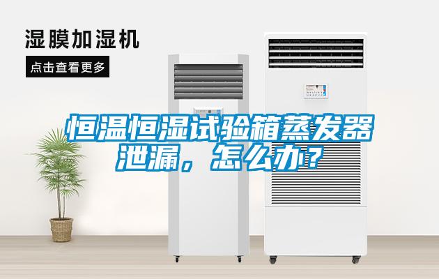 恒溫恒濕試驗箱蒸發器泄漏，怎么辦？