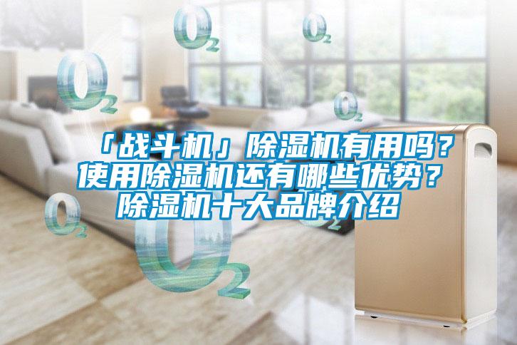 「戰(zhàn)斗機(jī)」除濕機(jī)有用嗎？使用除濕機(jī)還有哪些優(yōu)勢(shì)？除濕機(jī)十大品牌介紹