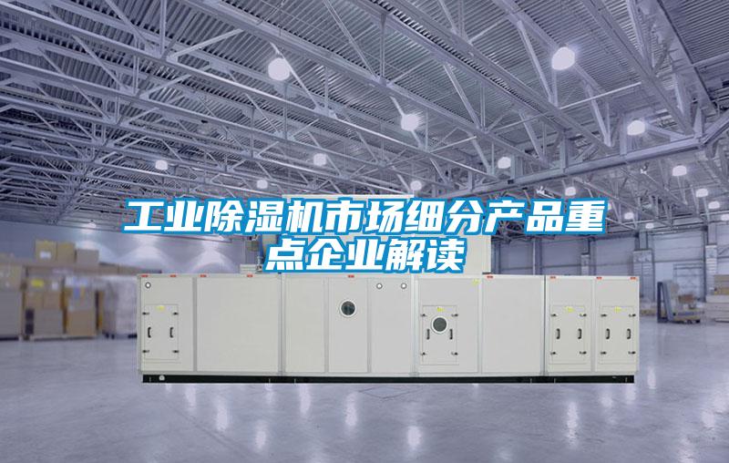 工業(yè)除濕機市場細分產品重點企業(yè)解讀