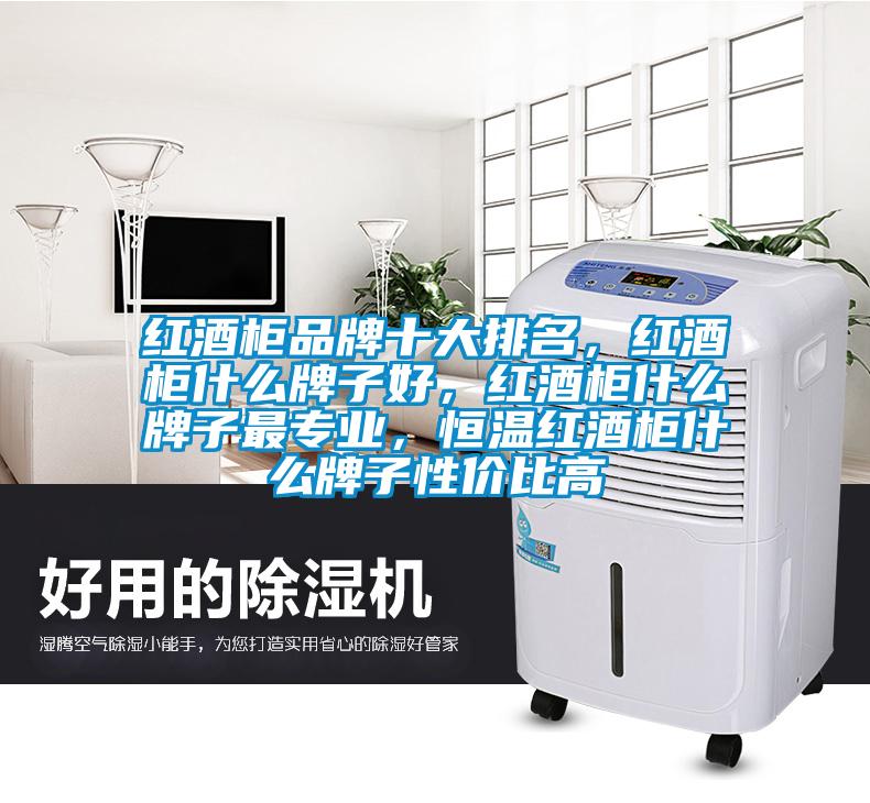 紅酒柜品牌十大排名，紅酒柜什么牌子好，紅酒柜什么牌子最專業(yè)，恒溫紅酒柜什么牌子性價(jià)比高