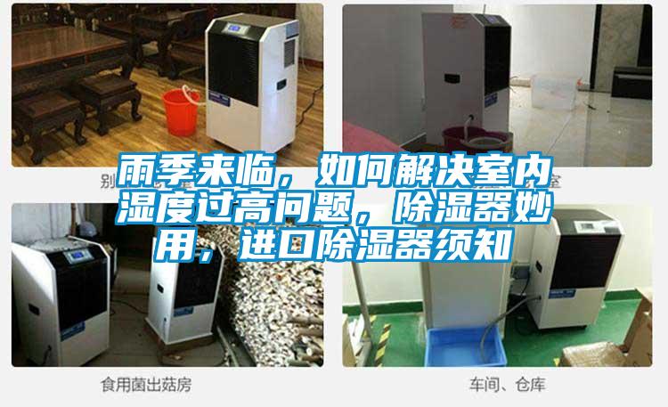 雨季來臨，如何解決室內濕度過高問題，除濕器妙用，進口除濕器須知