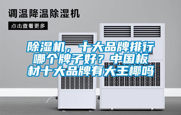 除濕機，十大品牌排行哪個牌子好？中國板材十大品牌有大王椰嗎