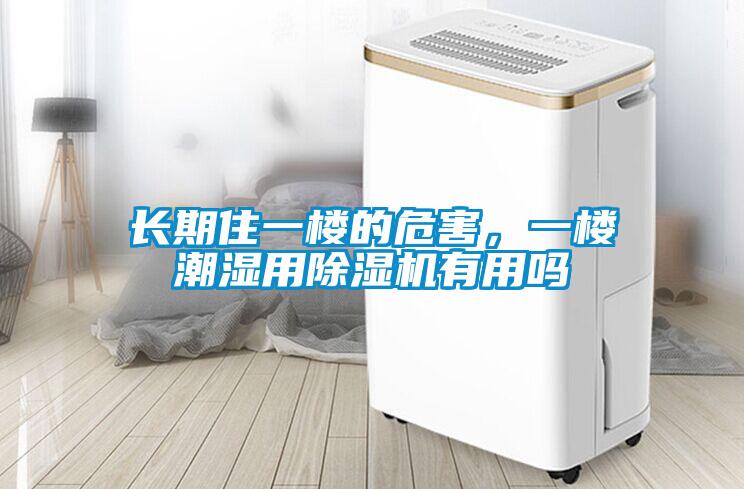 長期住一樓的危害，一樓潮濕用除濕機有用嗎