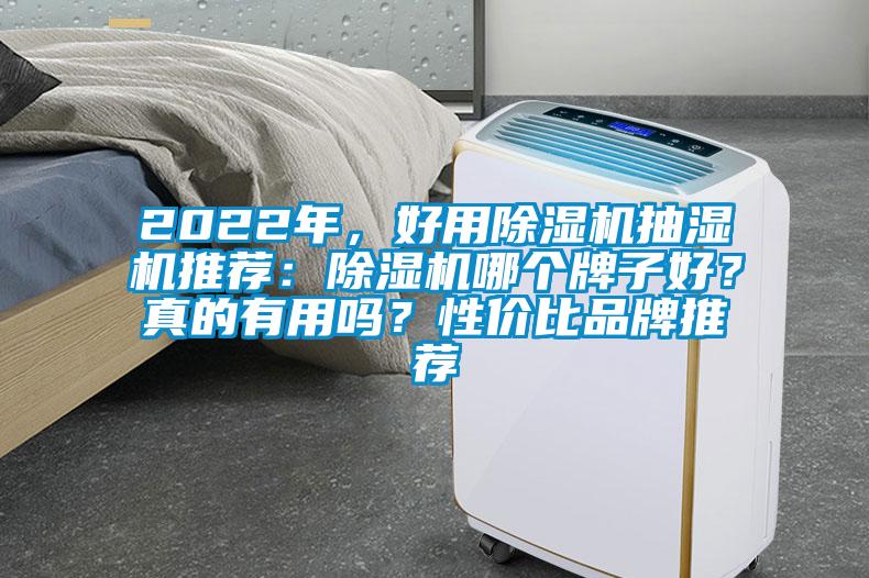 2022年，好用除濕機(jī)抽濕機(jī)推薦：除濕機(jī)哪個(gè)牌子好？真的有用嗎？性價(jià)比品牌推薦