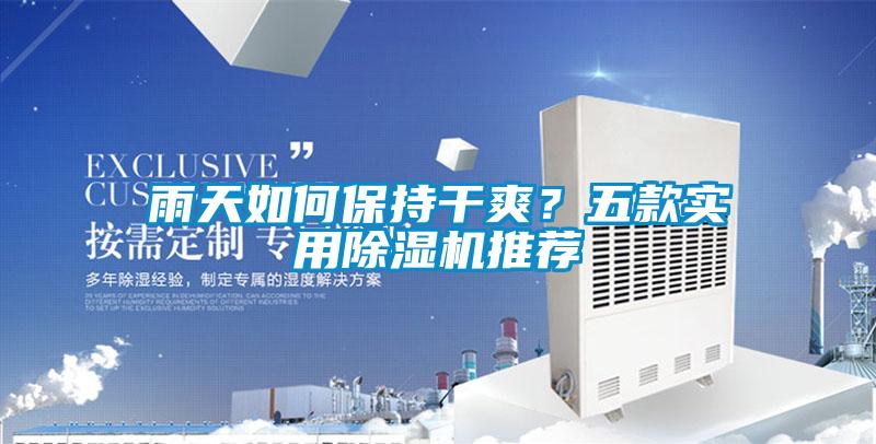雨天如何保持干爽？五款實(shí)用除濕機(jī)推薦