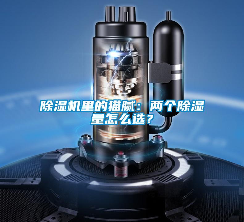 除濕機里的貓膩：兩個除濕量怎么選？