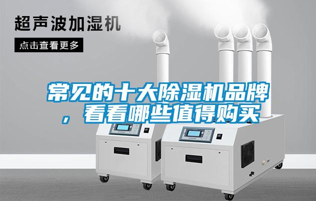 常見的十大除濕機(jī)品牌，看看哪些值得購買