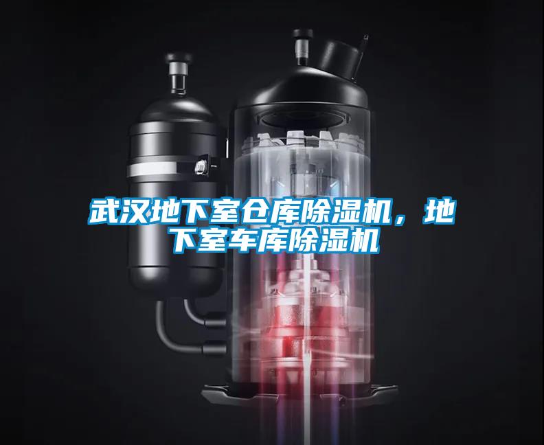 武漢地下室倉庫除濕機，地下室車庫除濕機