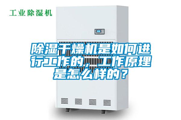 除濕干燥機是如何進行工作的，工作原理是怎么樣的？