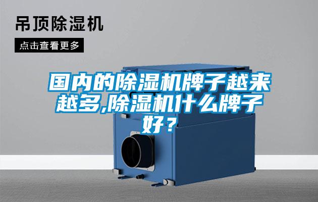 國(guó)內(nèi)的除濕機(jī)牌子越來(lái)越多,除濕機(jī)什么牌子好？