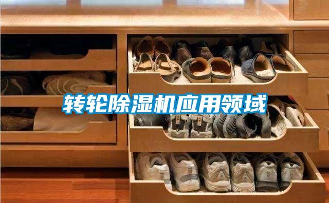 轉(zhuǎn)輪除濕機應用領域
