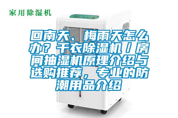 回南天、梅雨天怎么辦？干衣除濕機／房間抽濕機原理介紹與選購推薦，專業的防潮用品介紹
