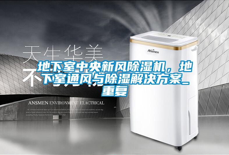 地下室中央新風除濕機，地下室通風與除濕解決方案_重復