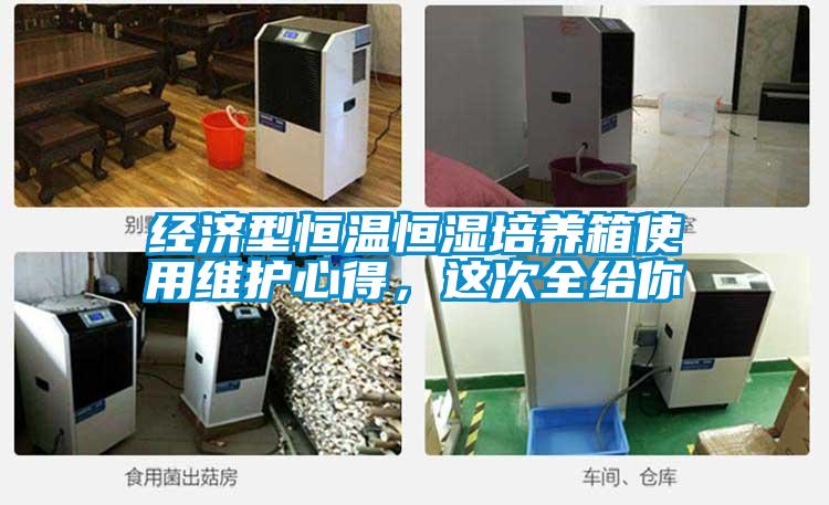 經濟型恒溫恒濕培養箱使用維護心得，這次全給你