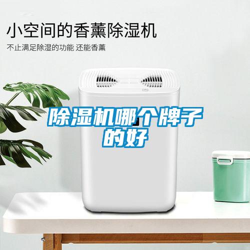 除濕機(jī)哪個牌子的好