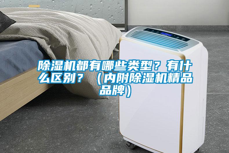 除濕機都有哪些類型？有什么區(qū)別？（內附除濕機精品品牌）