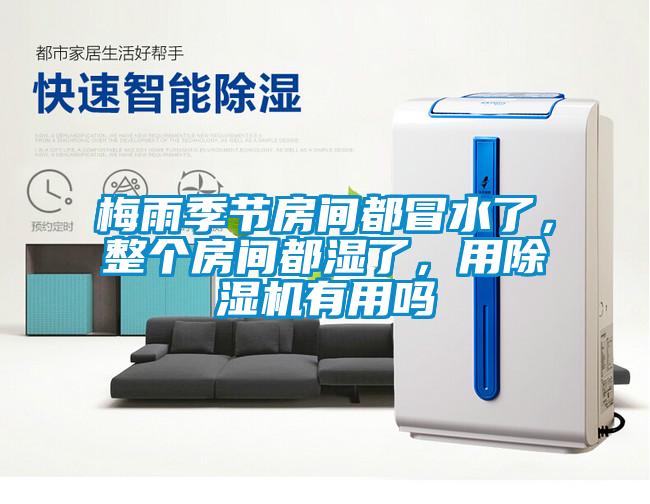 梅雨季節房間都冒水了，整個房間都濕了，用除濕機有用嗎
