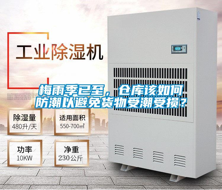 梅雨季已至，倉庫該如何防潮以避免貨物受潮受損？