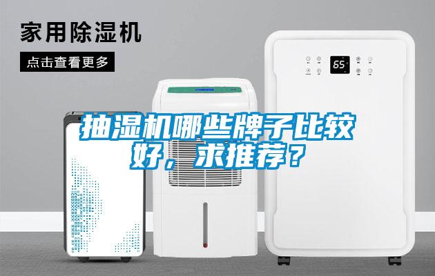 抽濕機哪些牌子比較好，求推薦？