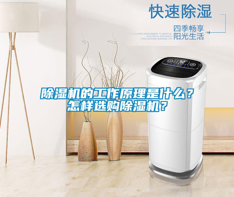 除濕機(jī)的工作原理是什么？怎樣選購(gòu)除濕機(jī)？