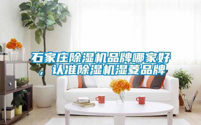 石家莊除濕機品牌哪家好，認準除濕機濕菱品牌